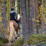 Nainen ratsastaa metsässä.