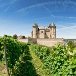 Viiniviljelimiä ja linna, Loire Ranska