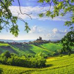 Vihreä viinilaakso ja sininen taivas, Piemonte Italia