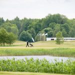 Mies vetää golfkärryjä viheriöllä