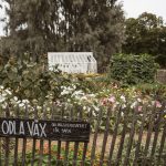 Rosendalin linnan puutarha Tukholmassa