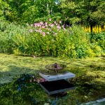 Pieni suihkulähde Djurgården puutarhassa