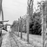 Piikkilanka-aitaa mustavalkoisessa lähikuvassa.