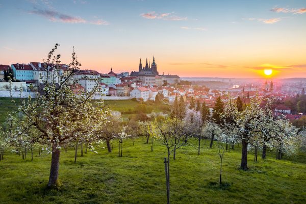Näkymää kukkulalta kevätauringon noustessa.