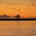 Pärnu vesi lintutorni