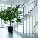 Scandic Park, Tukholma