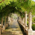 Alfabian puutarha, Mallorca