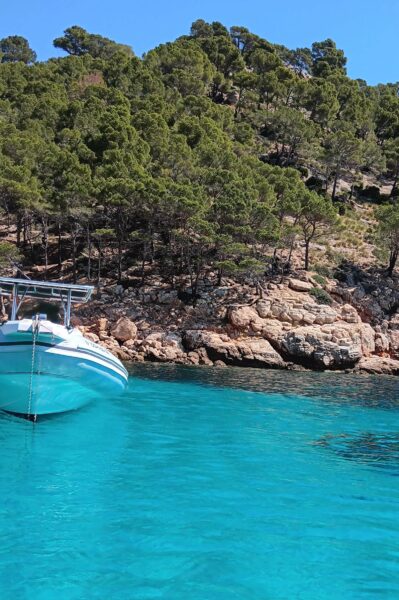 Alcudiasta ihanalle veneretkelle