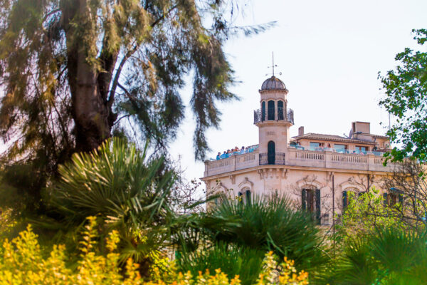 Drinkille Palman kattojen ylle