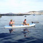 Kajakissa katsomassa delfiinejä Los Christianosin edustalla