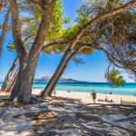 Alcudian ranta Mallorcalla