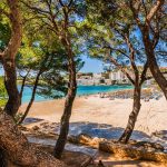 Santa Ponsan ranta puiden takaa, Mallorca