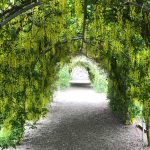 Walled Gardenin upea viherkatos