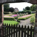 Walled Gardenin upeita kukkia