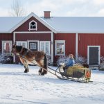 Luomajärven Kievari, Hevosajelu