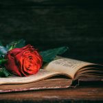 Ruusu lepää kirjaa vasten.