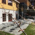 Hotellin julkisivu ja takapiha