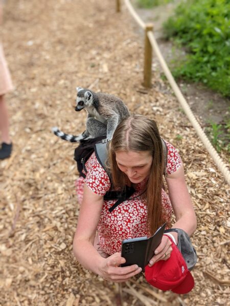 Tropicarium Kolmårdenin vieressä