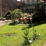 Ravintola Lee, Tallinna