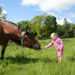 Viron maaseutumuseo tyttö hevosen kanssa
