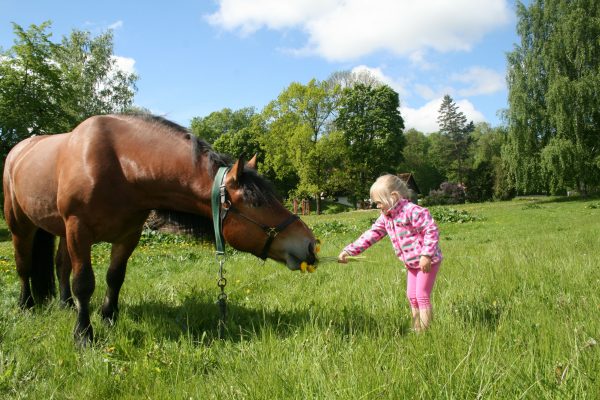 Viron maaseutumuseo tyttö hevosen kanssa