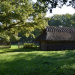 Viron ulkoilmamuseo 📷 Tallinn City Tourist Office & Convention Bureau/Merlen Aringo
