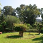 Hotellin ulkoilma-alueita