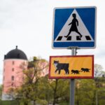 Liikennemerkkejä kaupungissa.