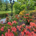 Väriloistoa Riiassa