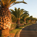 Ihmisiä iltakävelyllä venesatamassa.