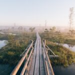 Kemerin kansallispuiston pitkospuut suolla