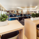 Tallink Megastar Infoaula