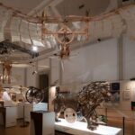 Leonado3 Museo, Milano