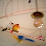 Hotel Apolonia Paris Montmartre