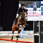 Tallinn International Horse Show, 115 cm estehyppy