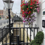 Kukka-amppeli ja katulamppu Dublinin kadulla