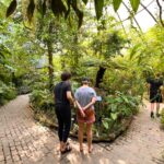 Kasvitieteellinen puutarha